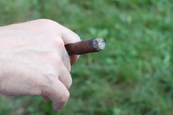 Young smoker with fine cigar in his hand — Stock Photo, Image