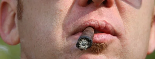 Kuřák s velkým doutníkem v ústech — Stock fotografie