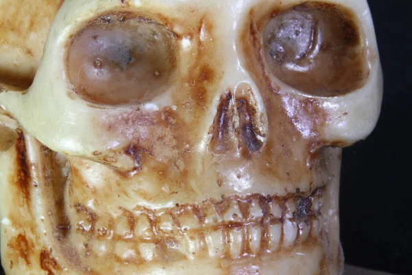 Az előtérben egy ősi emberi koponya portréja — Stock Fotó