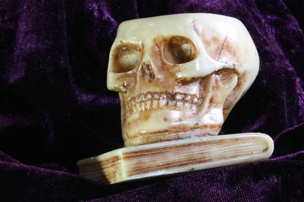 教科書上の人間の頭蓋骨 — ストック写真