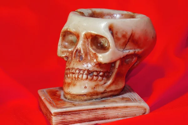 Emberi koponya felett tankönyvét — Stock Fotó