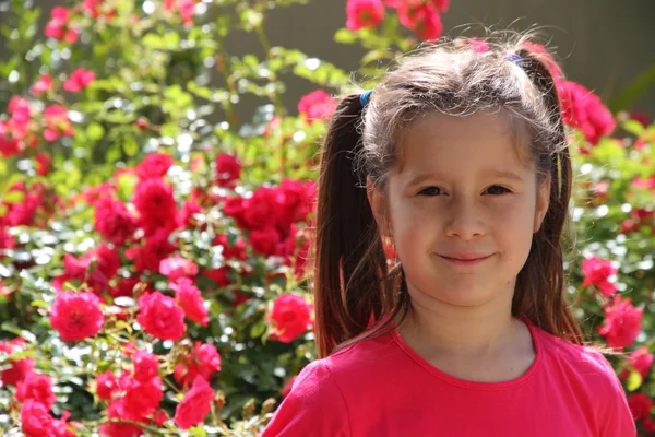 Chica morena encantadora con el fondo de rosas rojas — Foto de Stock