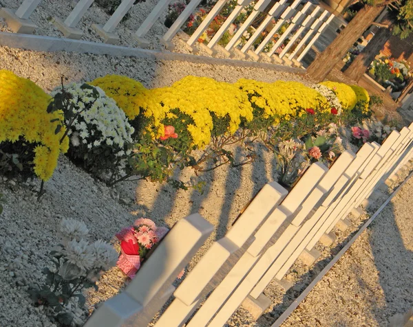 Grudki żółte kwiaty w grobach na cmentarzu Europejskiego — Zdjęcie stockowe
