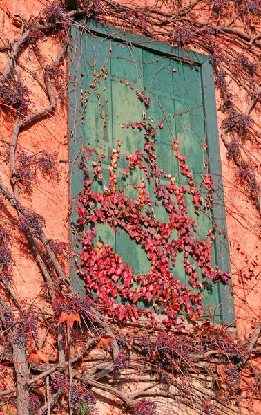 Varanda de uma antiga casa abandonada com folhas amareladas — Fotografia de Stock