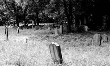 mezarlar ve mezar taşları bir eski terk edilmiş Mezarlığı