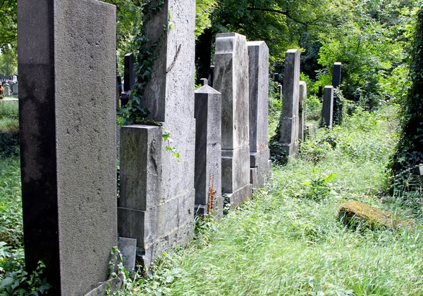 Gravestones of an old abandoned cemetery — Stock Photo, Image