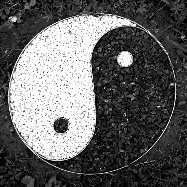 TAO symbol circular good and evil — Stock Photo, Image