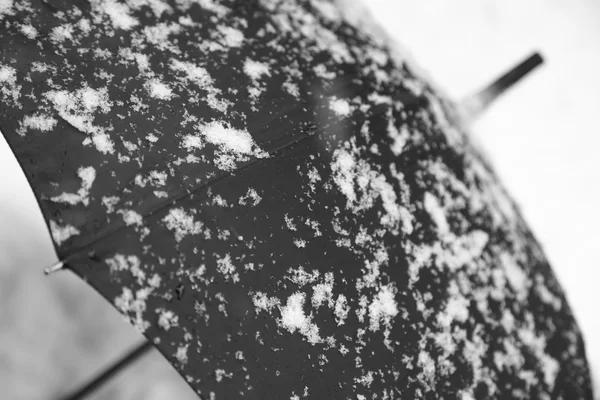 Black umbrella and white snow in contrast — Stock Photo, Image