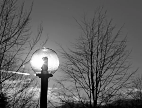 Lampadaire avec lumière au néon et le soleil brille — Photo