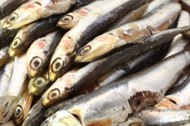 ham hamsi yemek için hazır