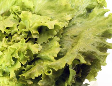 yeşil salata taze yıkanmış