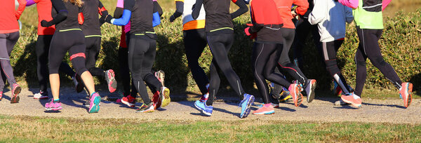 женщины во время бега по пересеченной местности
