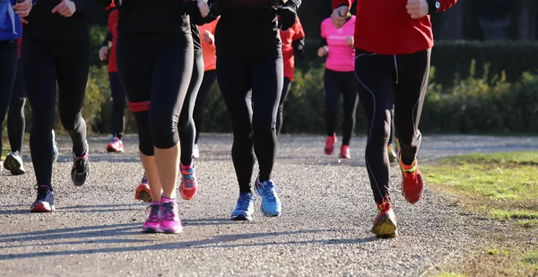 Jovens mulheres durante a corrida cross country — Fotografia de Stock