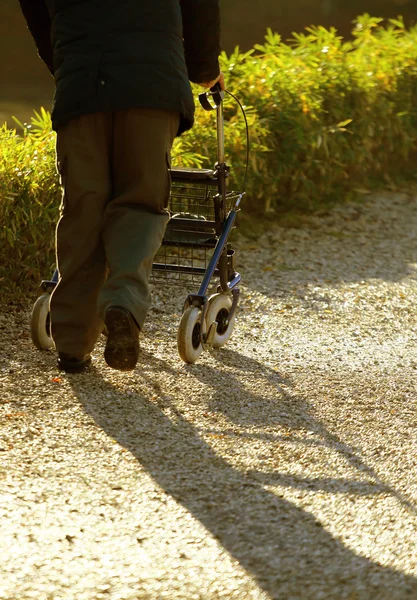 Idosos com deficiência com Walker médica para caminhar — Fotografia de Stock