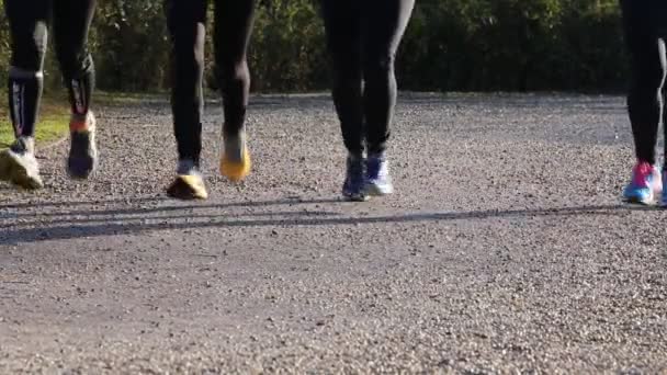 Mujeres jóvenes durante la carrera a campo traviesa — Vídeo de stock