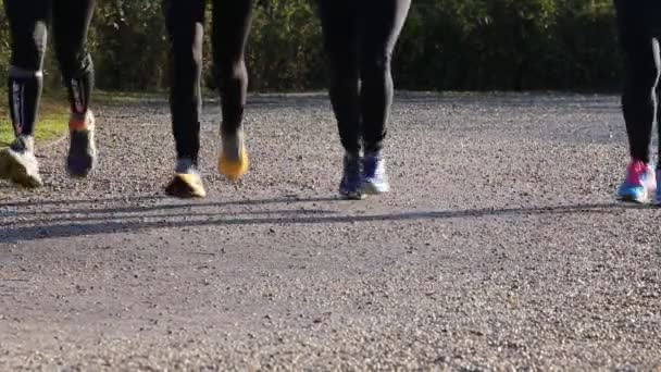 Young women during the cross country race — Stock Video