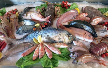 Great white sea bream many saltwater fish in the italian restaur clipart