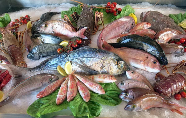 Grande brema do mar branco muitos peixes de água salgada no restaur italiano — Fotografia de Stock