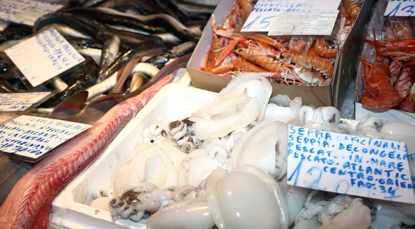 Ryby na prodej na rybím trhu v Itálii — Stock fotografie