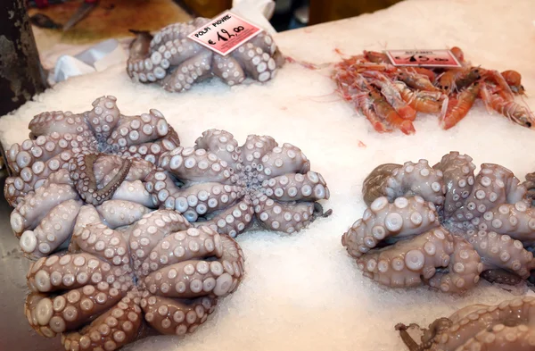 Ice with octopuses and octopi freshly caught — Stock Photo, Image