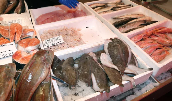 Verse vis te koop in vis markt kraam — Stockfoto