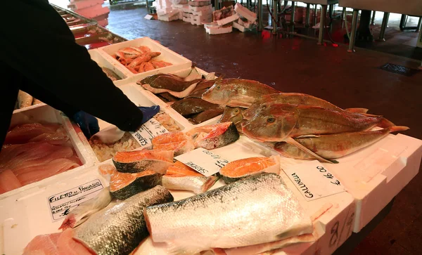 Färsk fisk på fiskmarknaden stall i södra Italien — Stockfoto