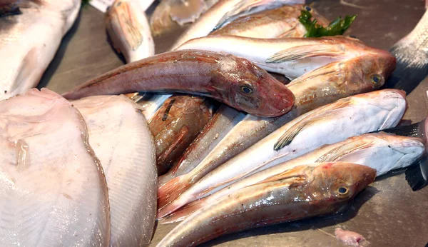 Färsk fisk på fiskmarknaden stall i Italien — Stockfoto