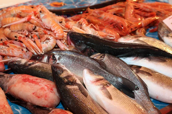 Pesce fresco di acqua salata in vendita nel mercato del pesce nel sud Italia — Foto Stock