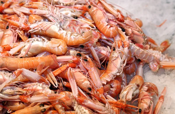 Camarões e camarões frescos no gelo para venda no mercado de peixe — Fotografia de Stock