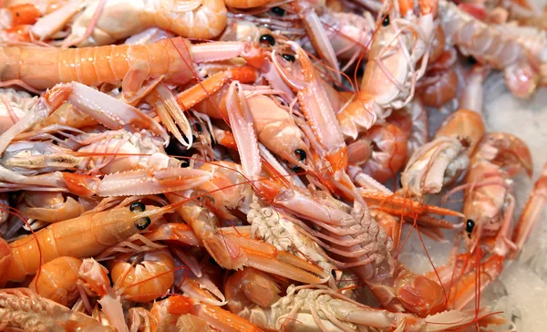 Camarões e camarões no gelo para venda no mercado de peixe no sul — Fotografia de Stock