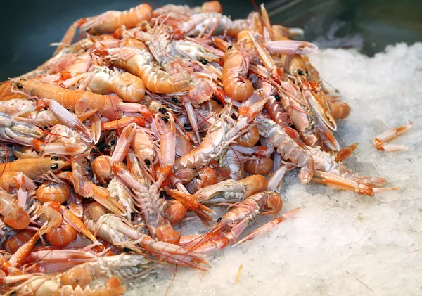 Camarões e camarões frescos no gelo para venda no mercado de peixe — Fotografia de Stock