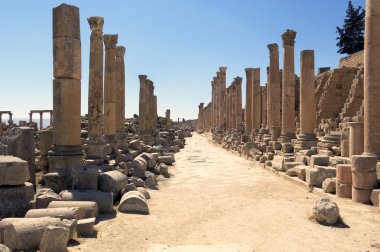 Jerash şehri Roma Tapınağı