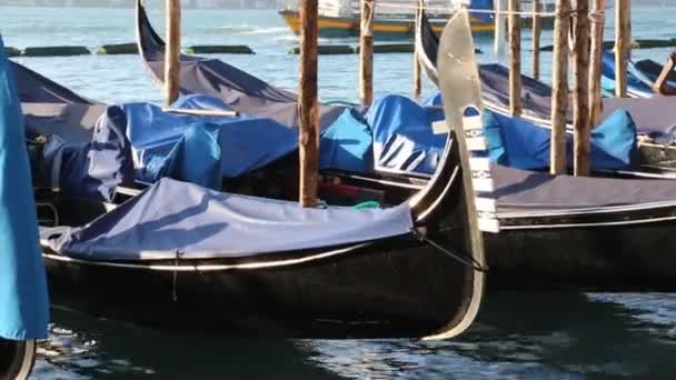 Gondel in Venetië — Stockvideo
