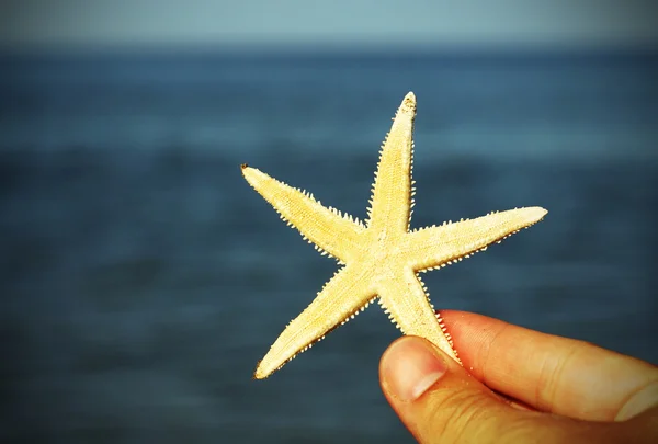 Hand som håller bara samlingen sjöstjärna — Stockfoto