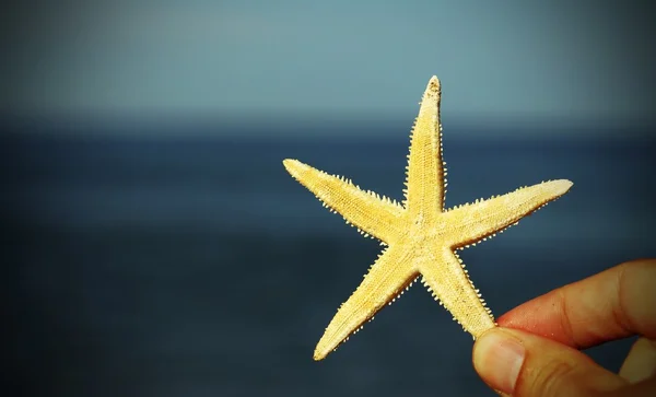 Hand med vita sjöstjärnor och havet — Stockfoto