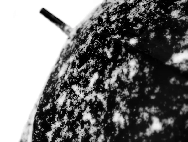 Regenschirm und weißer Schnee im Kontrast — Stockfoto