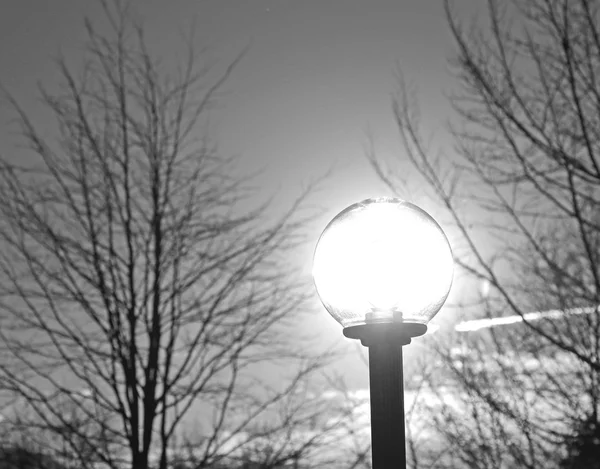 Farola con luz de neón y sol — Foto de Stock