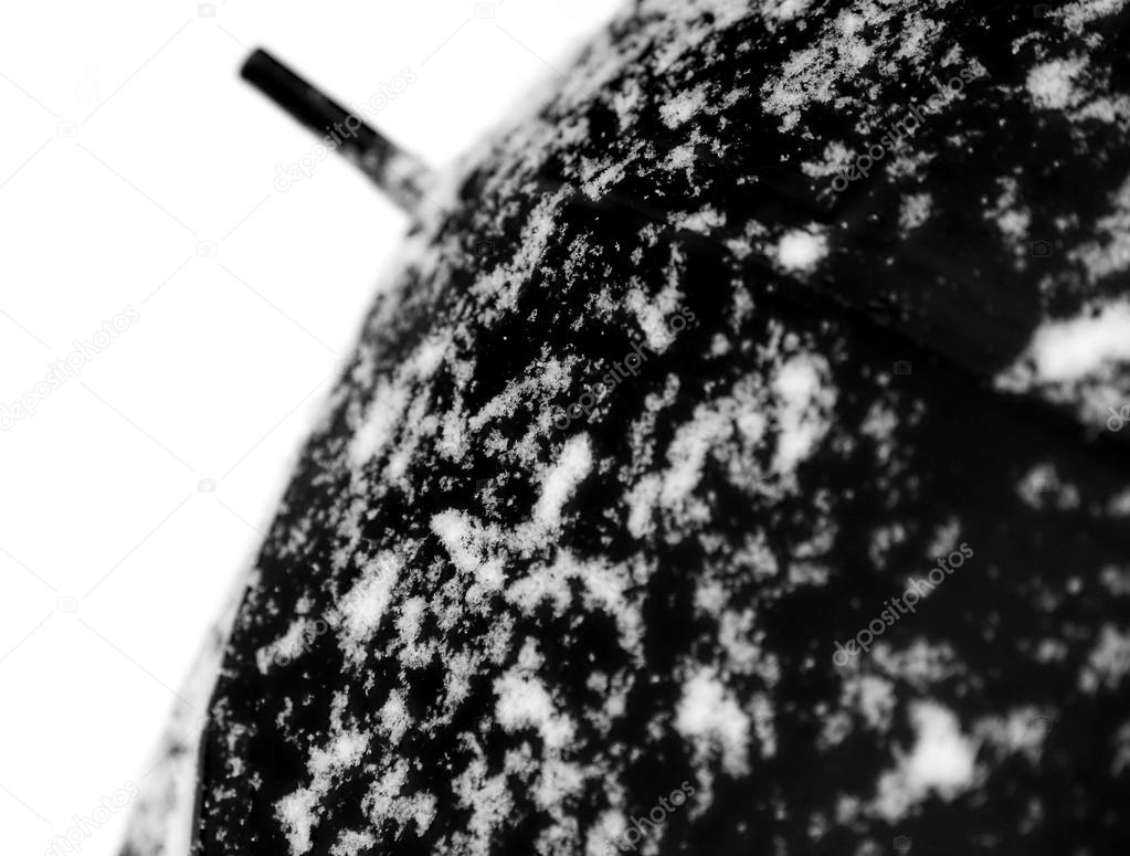 umbrella and white snow in contrast