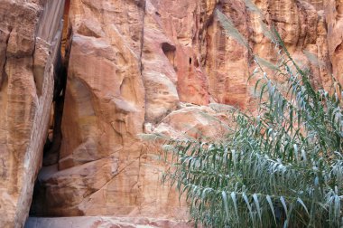 Şehir Petra'dan Jordan Ortadoğu '