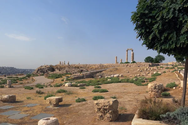 Budynki o Amman Citadel w national historic witryny w Jordan — Zdjęcie stockowe