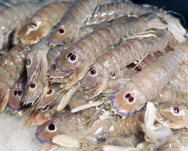 Taze mantis karides balık pazarında Satılık — Stok fotoğraf