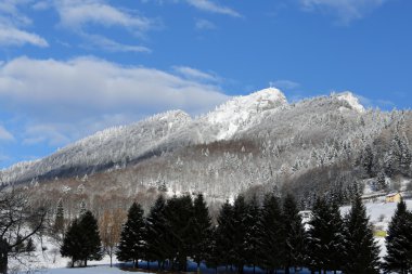 Karlı ve ağaçlı dağ manzarası