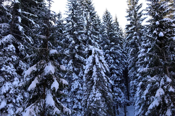 Berglandschaft mit Schnee im Winter — Stockfoto