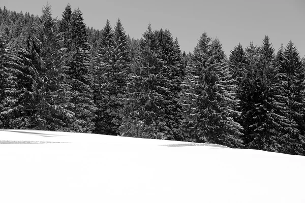 Ορεινό τοπίο με το χιόνι το χειμώνα — Φωτογραφία Αρχείου