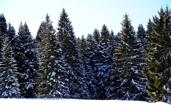 Paisaje de montaña con nieve en invierno —  Fotos de Stock
