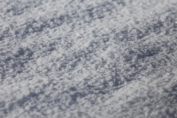 Schneeweiß mit Makro — Stockfoto