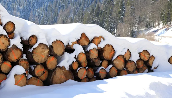 Baumstämme, die in den Bergen unter dem weißen Schnee gefällt wurden — Stockfoto