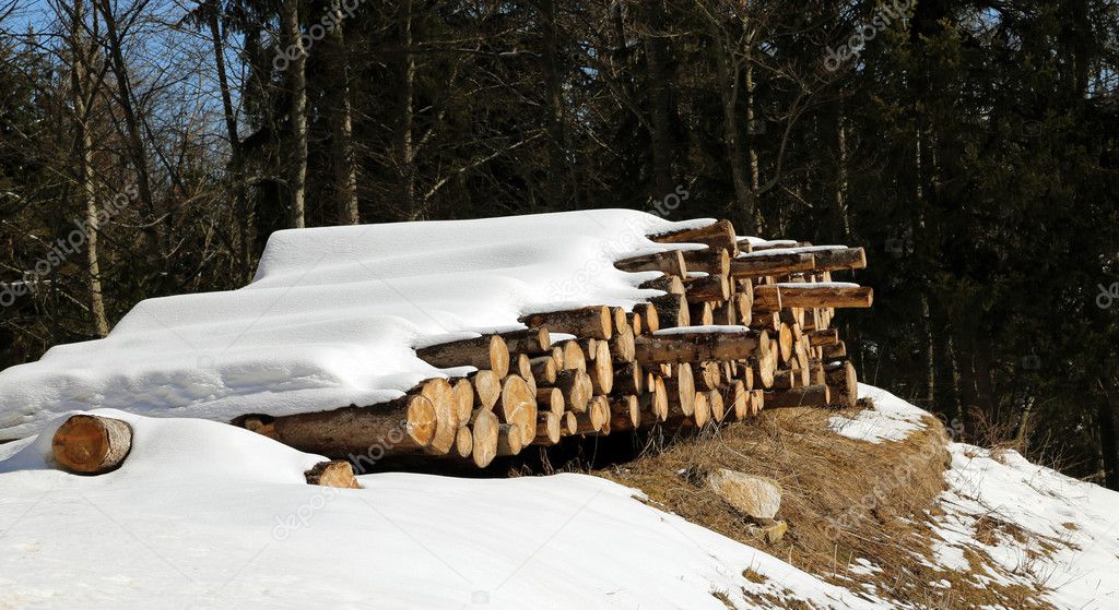 pile of logs cut in the mountains under the snow
