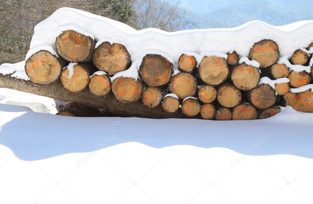 pile of logs cut in the mountains