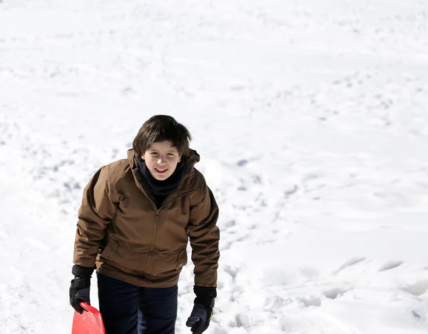 Ung pojke går med pulkaåkning på nysnö på vintern — Stockfoto